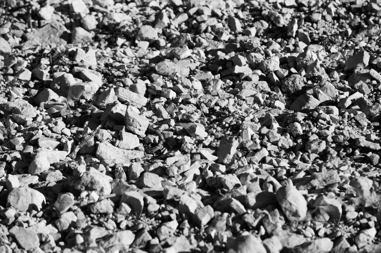 Le sol pierreux en surface