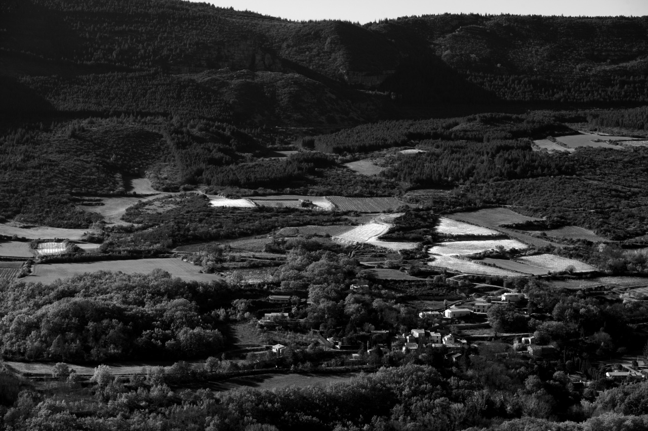 Zone de production du domaine