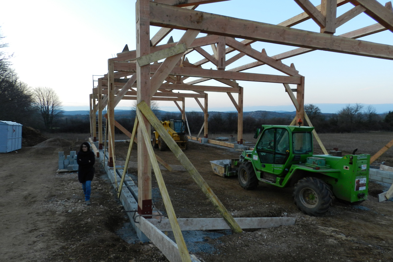 Février 2012, érection de la structure.