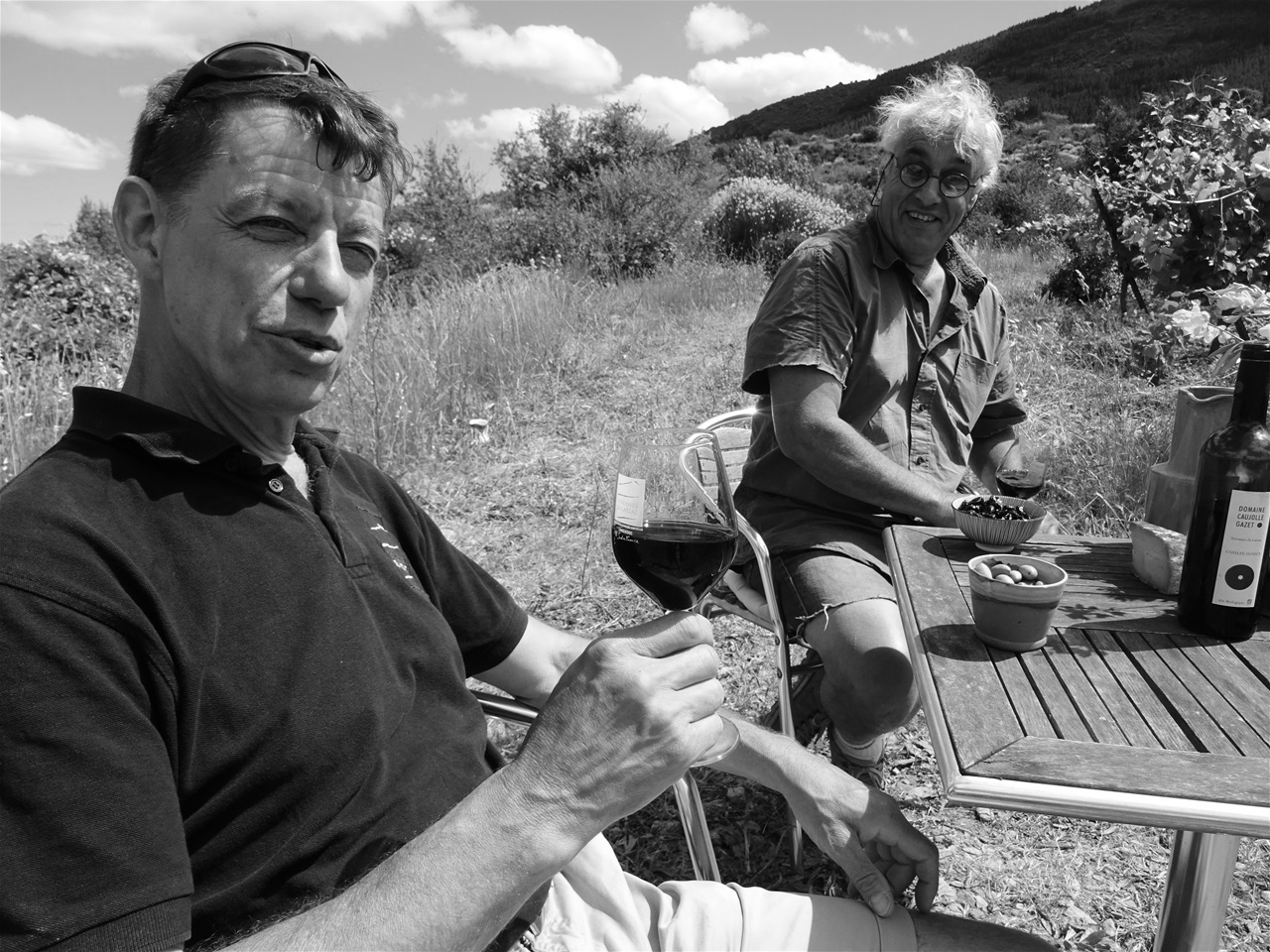 Au travail dans les vignes